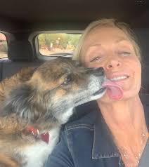 Foster applications are currently closed. Animal Shelters Emptied As People Volunteered To Foster Pets