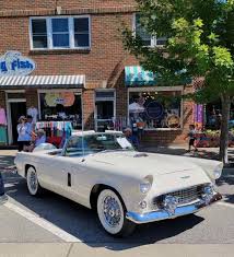 Image result for Navajo Gray 1956 Thunderbird