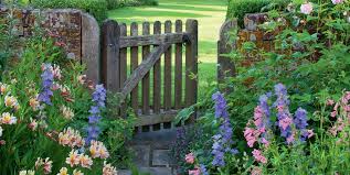 We did not find results for: 8 Ways To Recreate The Cottage Garden Look