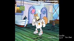 Sandy cheeks has always been proud of her texan roots. Sandy Cheeks Is One Thicc Bih By Unofficialgabrielle Chanafoxnews