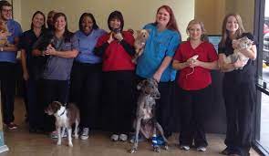 1,347,861 healthcare jobs available on indeed.com. Emergency Pet Clinic Corpus Christi Home Facebook