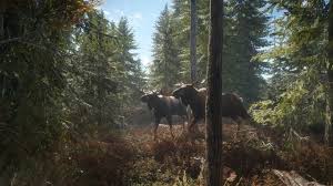 Jun 30, 2020 · the hunter: Thehunter Call Of The Wild Avalanche Studios Group