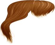 Hair Png Clipart Free Images This orange hair is a bomb! hair png clipart free images