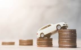 Enjoy a whole year of meerkat meals & meerkat movies*. Cheap Car Insurance Compare Quotes Get Cashback Mse