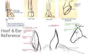 Sillyvixen S Image Horse Drawings Animal Drawings Horse Drawing Tutorial