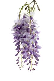 Pin By Just Dreamin On Wisteria Cottage Flower Painting Watercolor Flowers Beautiful Flowers