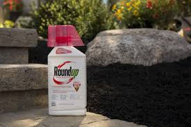 Rounddown to the nearest whole number. Amazon Com Roundup Weed Grass Killer Concentrate Plus Value Size 36 8 Oz Garden Outdoor
