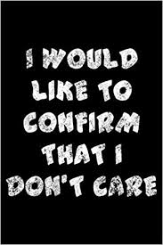 I don't care, i love it, i love it. I Would Like To Confirm That I Don T Care Notebook Journal Diary For Those Who Love Sarcasm 120 Lined Pages To Write In Vibes Humor 9781098767358 Amazon Com Books