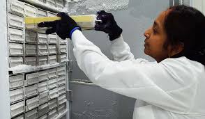 Most thyroid cancers grow slowly, which allows more time for treatment to take place. Global Health