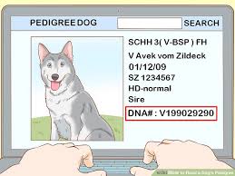 3 Ways To Read A Dogs Pedigree Wikihow