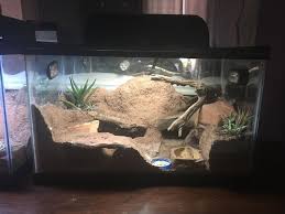 Leopard Gecko Habitat Leopardgecko Excavatorclay Gecko Terrarium Desert Leopard Gecko Habitat Gecko Habitat Leopard Gecko