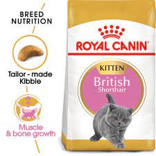 Makanan kucing jenis royal canin memang sudah dikenal dipasaran dengan kualitas dan harganya yang mahal. Makanan Anak Kucing Paling Disyorkan Untuk Tumbesaran Sihat