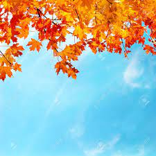 Maybe you would like to learn more about one of these? Autumn Leaves With The Blue Sky Background Stock Photo Picture And Royalty Free Image Image 9980863