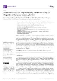 Image result for Suregada procera