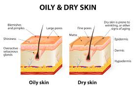Image result for Dry Skin