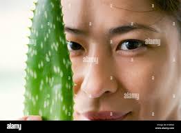 Aloe vera seulement Banque de photographies et d'images à haute résolution 