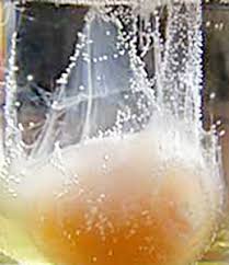 как узнать есть ли на мне порча с помощью яйца Pin Na Doske Gadanie