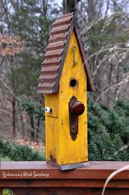 Bird Houses For Sale Near Me Pin By Rebecca S Bird Gardens On Bird Gardens Birdhouses Rustic Bird House Bird House Kits