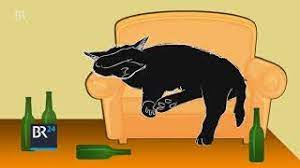 Wie Entsteht Nach Dem Alkohol Trinken Ein Kater Und Warum Br24 Youtube