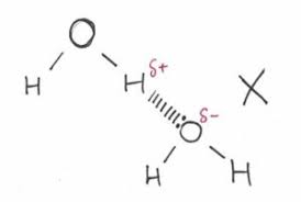 Common Mistakes In Drawing Hydrogen Bond - Mr Khemistry
