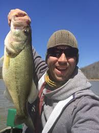 Beech Fork Lake WV Fishing Reports, Maps & Hot Spots