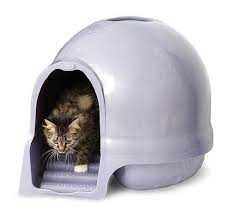 Booda Dome Cleanstep Cat Box Brushed Nickel Booda 35 35 Cat Pet Supplies Litter Box Cat Litter Tray