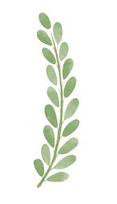 Maybe you would like to learn more about one of these? Watercolor Leaves Png Download Watercolor Leaf Clipart 630x1096 Wallpaper Teahub Io