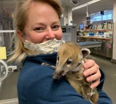 Dr. Jennifer Norton — The Raptor Trust