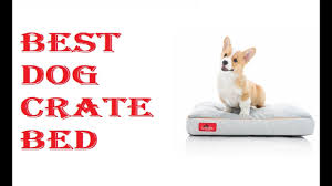 We researched the best dog crates available, so you can pick the best option for your furry friend. Best Dog Crate Bed 2021 Youtube