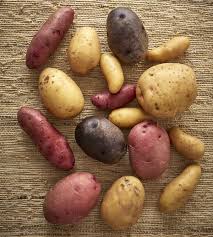 So, i think we got a pretty good deal; Seven Ways To Store Potatoes Storey Publishing