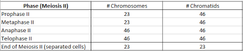 Learn and reinforce your understanding of mitosis and meiosis through video. Chromosome And Chromatid Numbers During Mitosis And Meiosis Dat Bootcamp