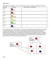Punnett is a convenient way to predict the genotypes and phenotypes of offspring. Punnett Square Activities Worksheets Teachers Pay Teachers