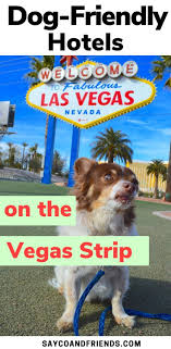 Pin On Dog Bloggers