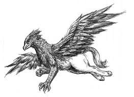 The harry potter coloring pages are also excellent to introduce your children to magical world of witches and wizards. Hippogriff Tattoo Shefalitayal