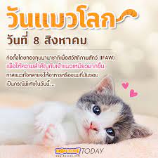 งานวิจัยวิทยาศาสตร์แบบแมว ๆ 8 เรื่อง ที่จะทำให้. Kapook à¸§ à¸™à¸™ à¸§ à¸™à¹à¸¡à¸§à¹‚à¸¥à¸ Facebook