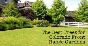 Maybe you would like to learn more about one of these? The Best Trees For Colorado Front Range Gardens The Natural Way Inc