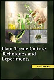 Many plant cells are green. Plant Tissue Culture Techniques And Experiments Hardcover Jan 01 2016 Josie Ho Josie Ho Josie Ho 9781682511947 Amazon Com Books