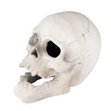 We did not find results for: Skull Shaped Logs For Fireplace Skull Log Halloween Decor