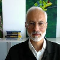 40+ "Gonzalo Curiel" profiles