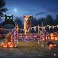 Halloween Clear Round Agility event image