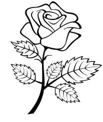 Find the best rose coloring pages for kids & for adults, print 🖨️ and color ️ 24 rose coloring pages ️ for free from our coloring book 📚. Drawing Roses 161936 Nature Printable Coloring Pages