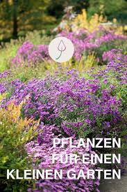 Pflanzen Fur Einen Kleinen Garten In 2020 Pflanzen Garten Kleiner Garten