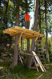 Como Hacer Una Casa En El Arbol Tree House Diy Tree House Plans Tree House Designs