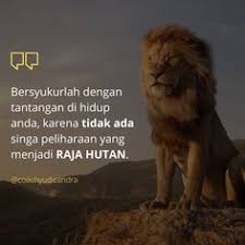  Putra Jawa Jafarashoka077 Profil Pinterest