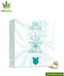 We all know that cats love their treats, so why not give them treats that are beneficial to their health? Cbd Treats For Cats Kittens 1 3mg Cbd Piece