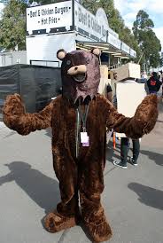 pedo bear | fly high photography 101 ...