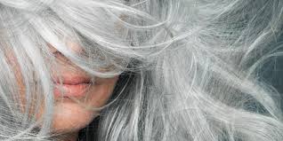 If you pull part of the root out this can damage the hair follicle. What Causes Gray Hair Surprising Facts About Gray Hair