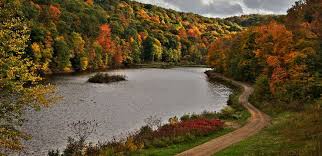 Bird On The Run Pittsburgh Pa Brady S Run Park Lake Beaver County Beaver Falls Favorite Places