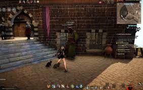 When while is used as a conjunction, it has two meanings. Black Desert Miniature Elephant Mount Guide Mmo Guides Walkthroughs And News