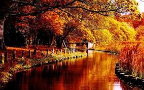 Autumn River Desktop Background Autumn Scenery Desktop Wallpaper Fall Fall Pictures